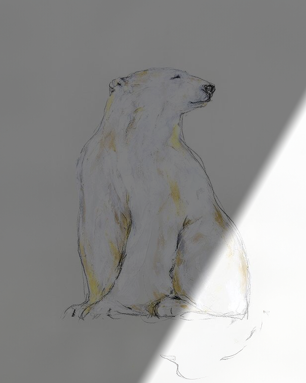 Myriam Rousseau Polar Bear Étude XV